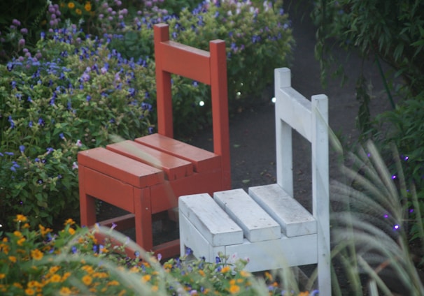 two red and white wooden armless chairs