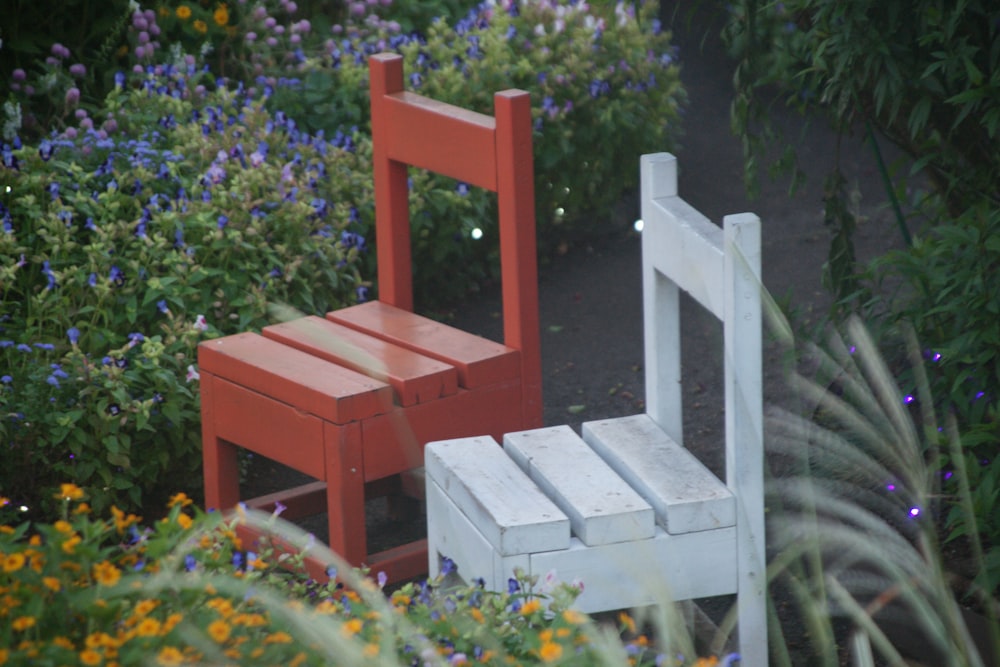 빨간색과 흰색의 팔걸이없는 나무 의자 2 개