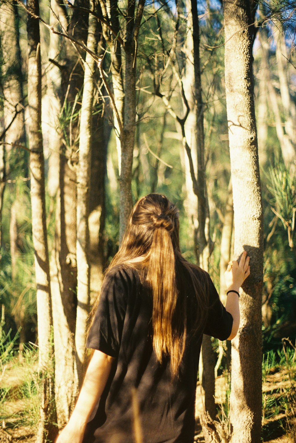 person standing near trees