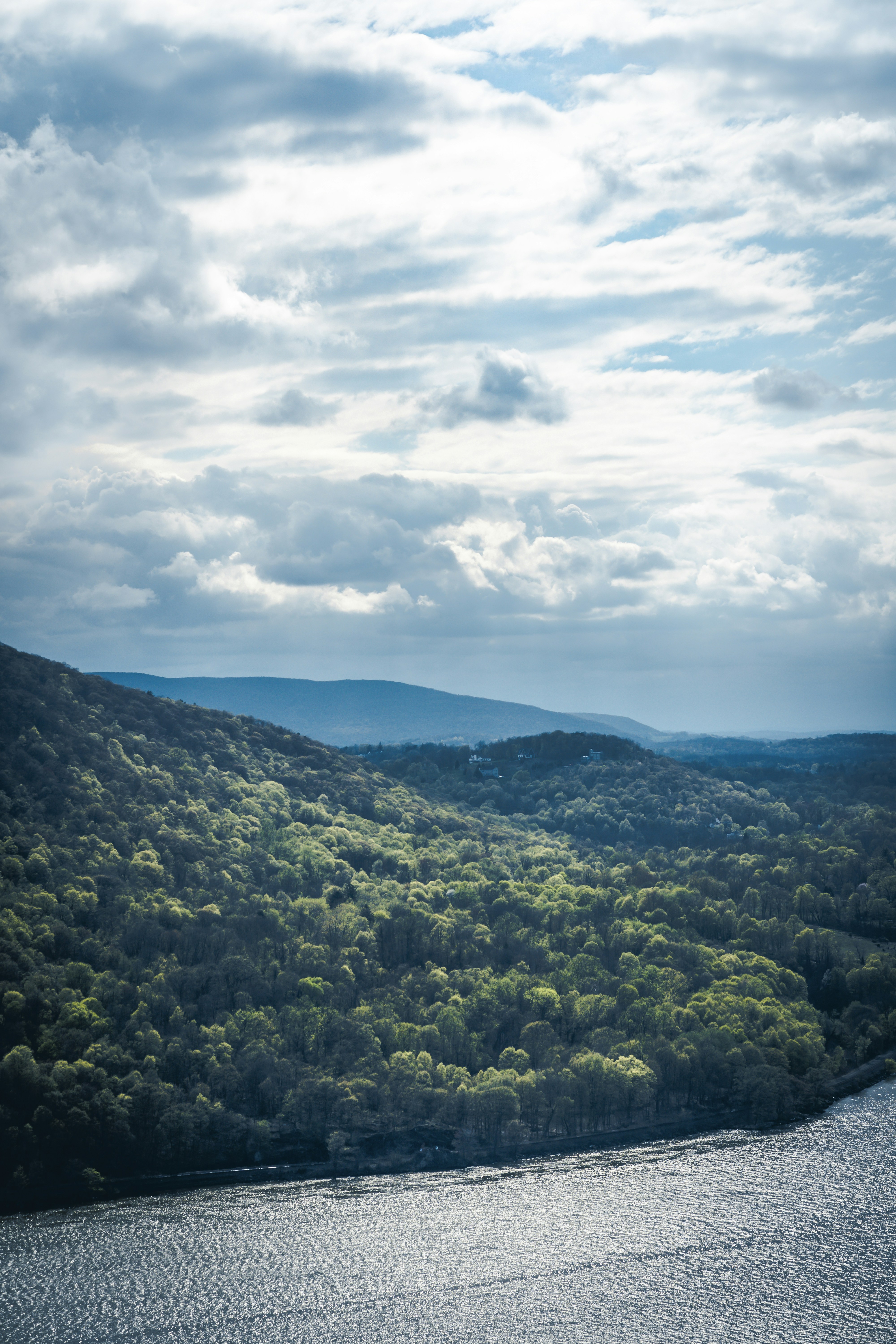 Photo by freddygmedia