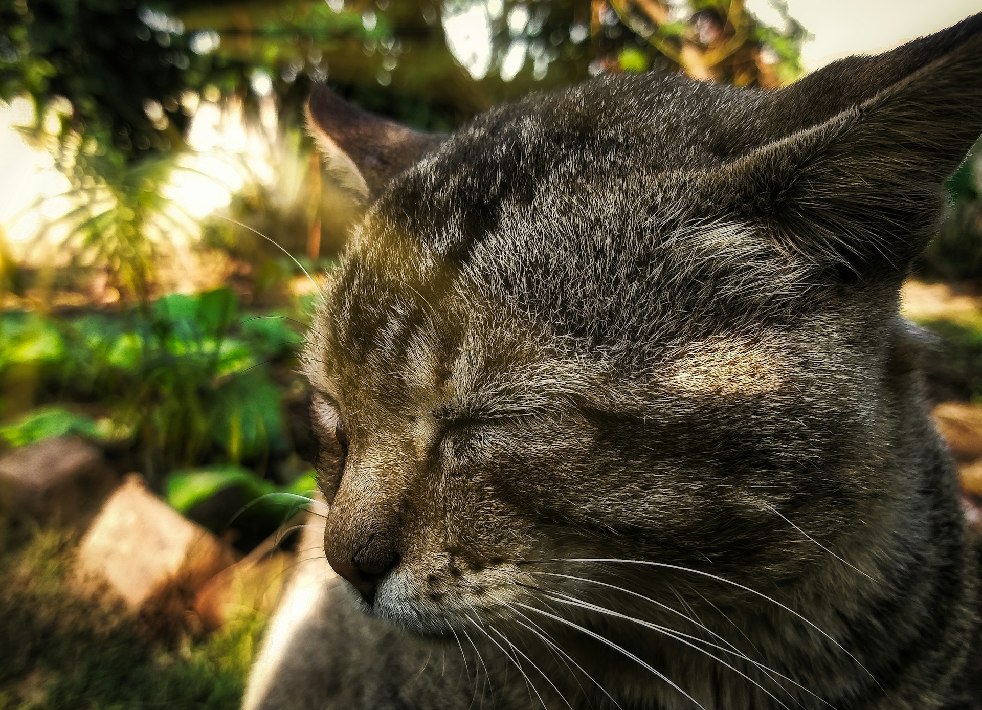 gray computer monitor