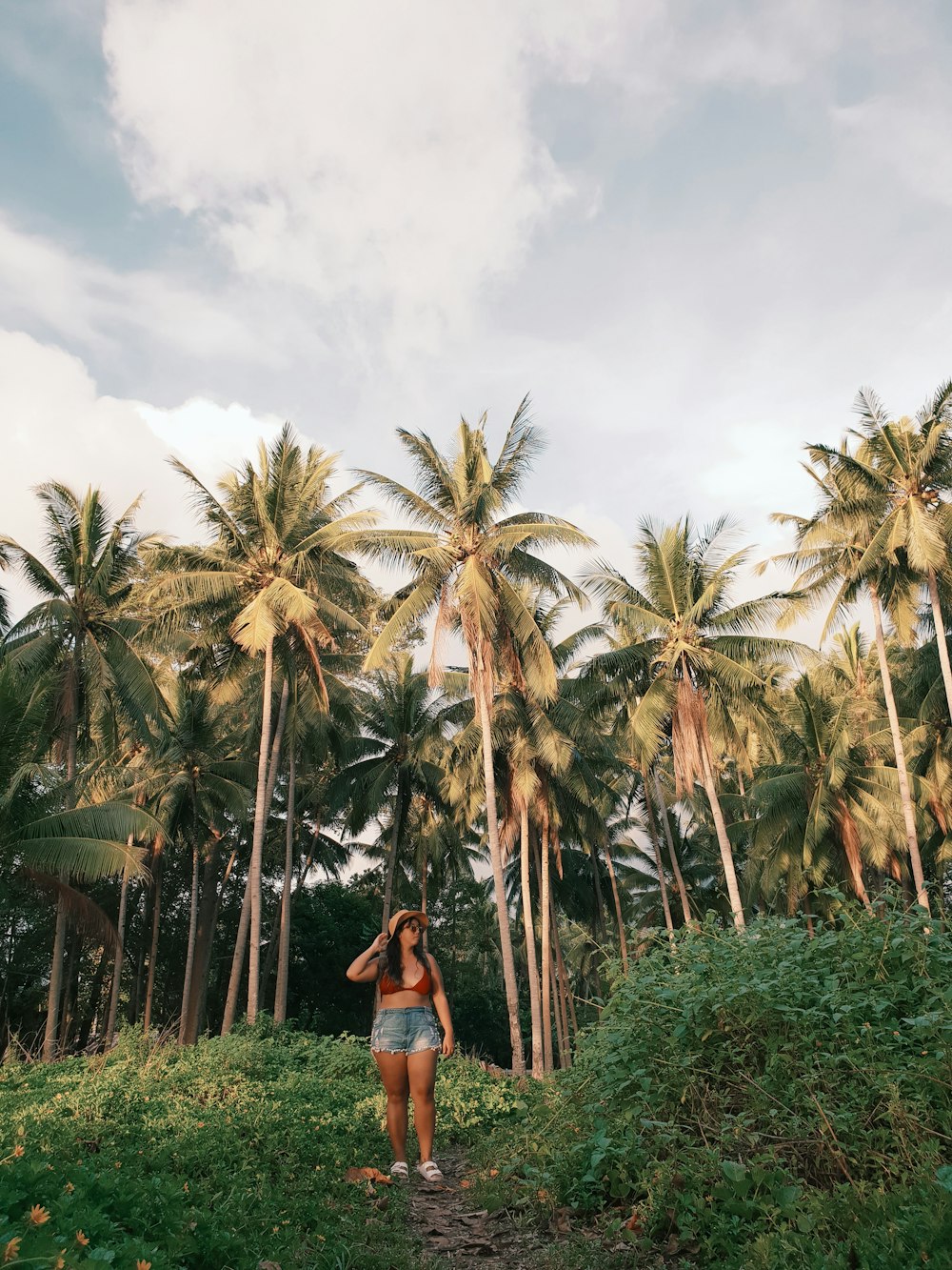 woman standing near coconut trees