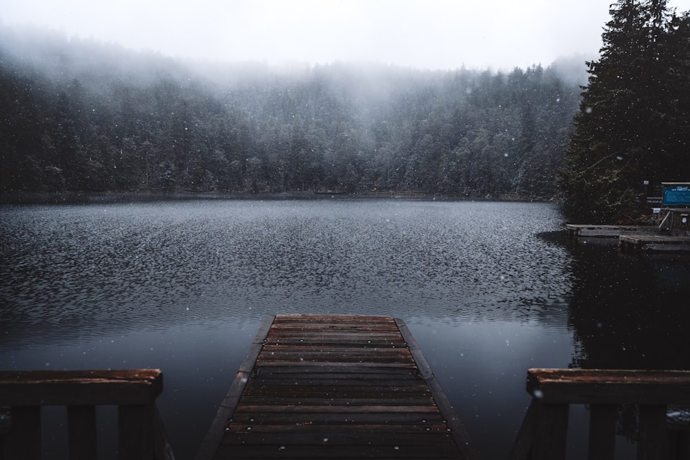 brown wooden dock above body of water