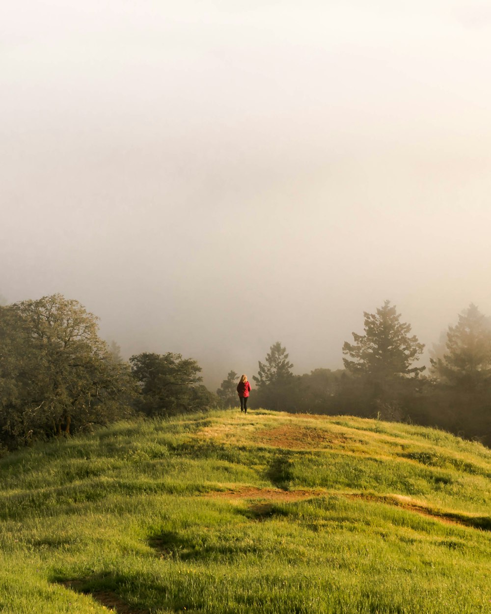 man stansing on hill facing trees