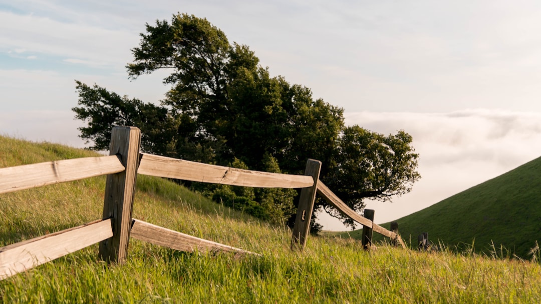 brown wooden fence in a green field during daytime