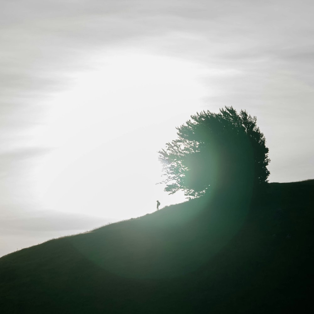 person standing on hill