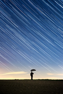 silhouette of standing person holding umbrella