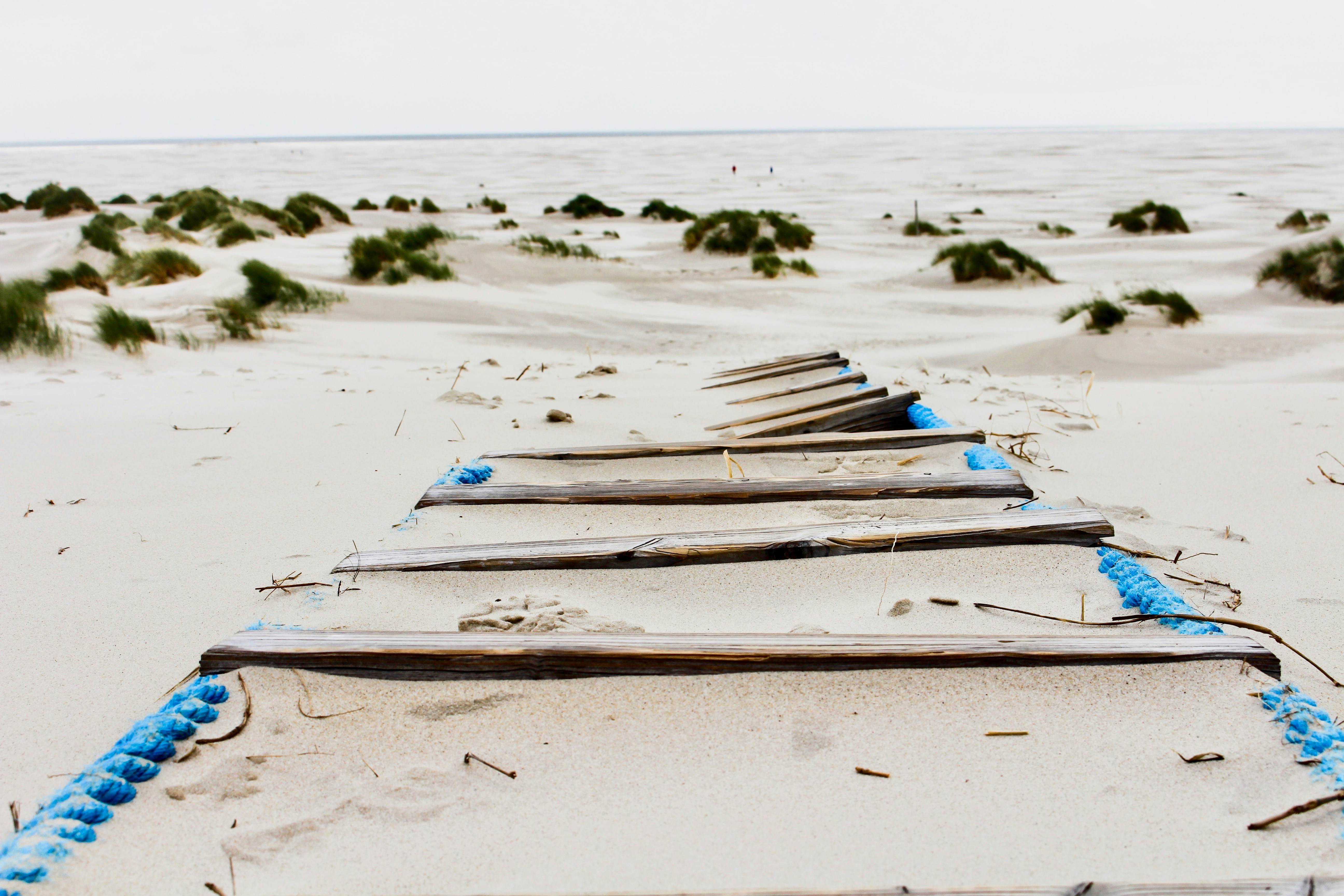 brown sand