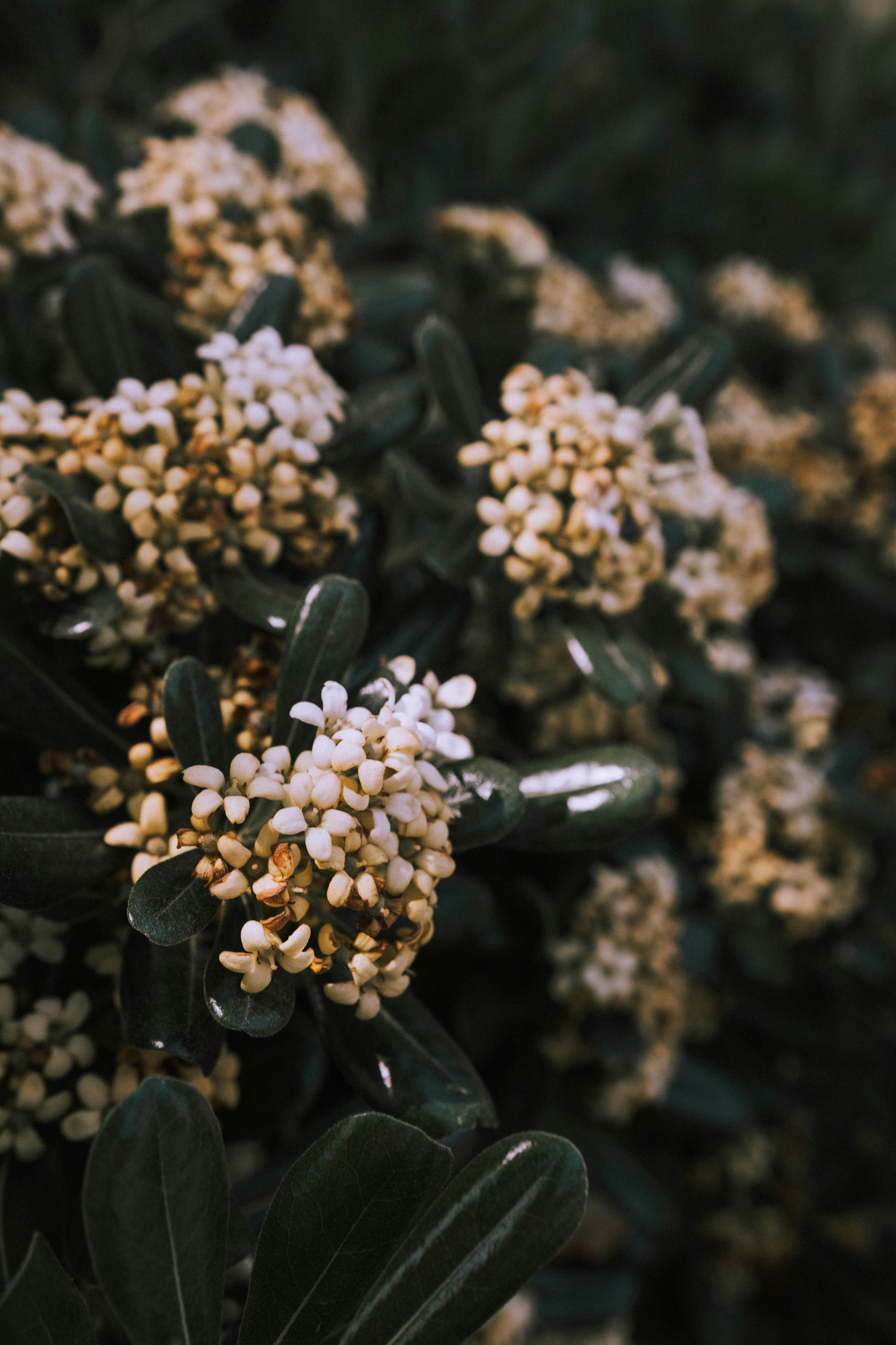 Photo by relentlessjpg