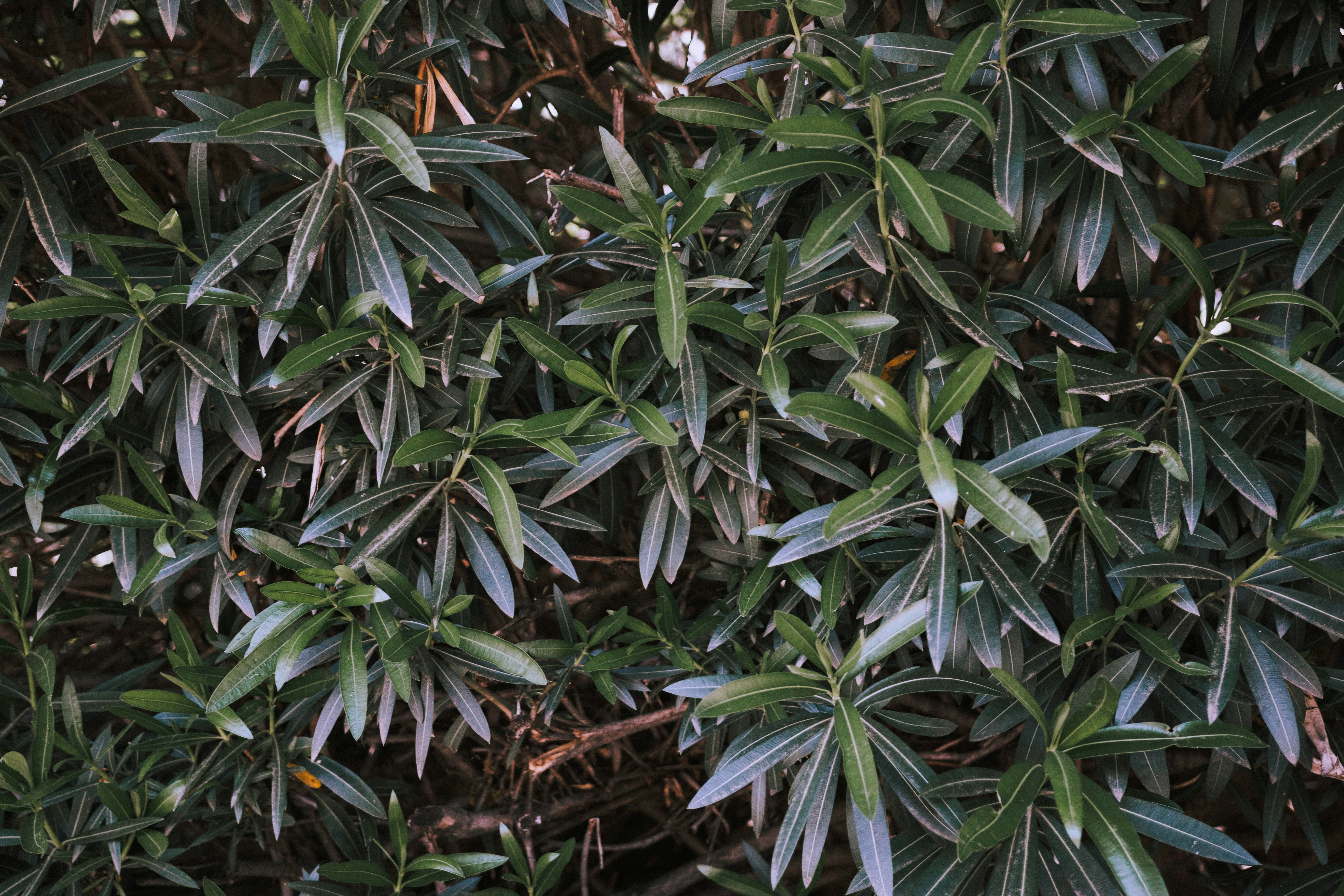 Photo by relentlessjpg