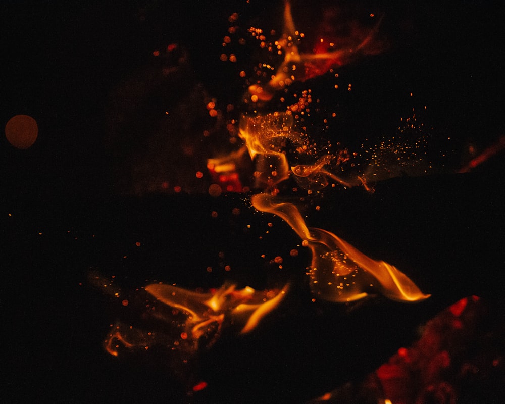Fotografía de lapso de tiempo de llama naranja