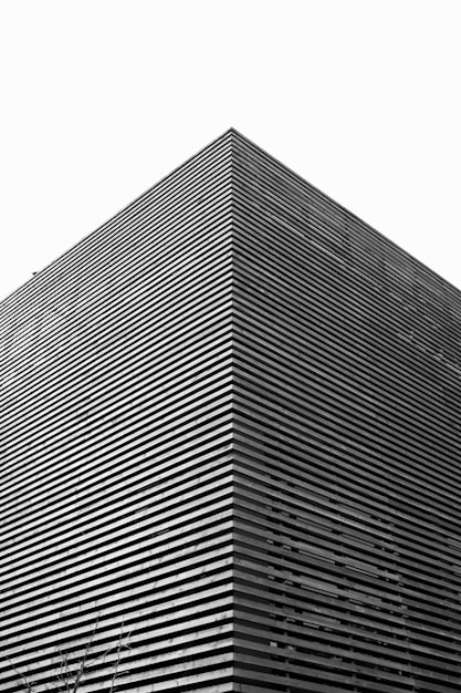 A sleek black and white architectural sketch of a modern building facade.