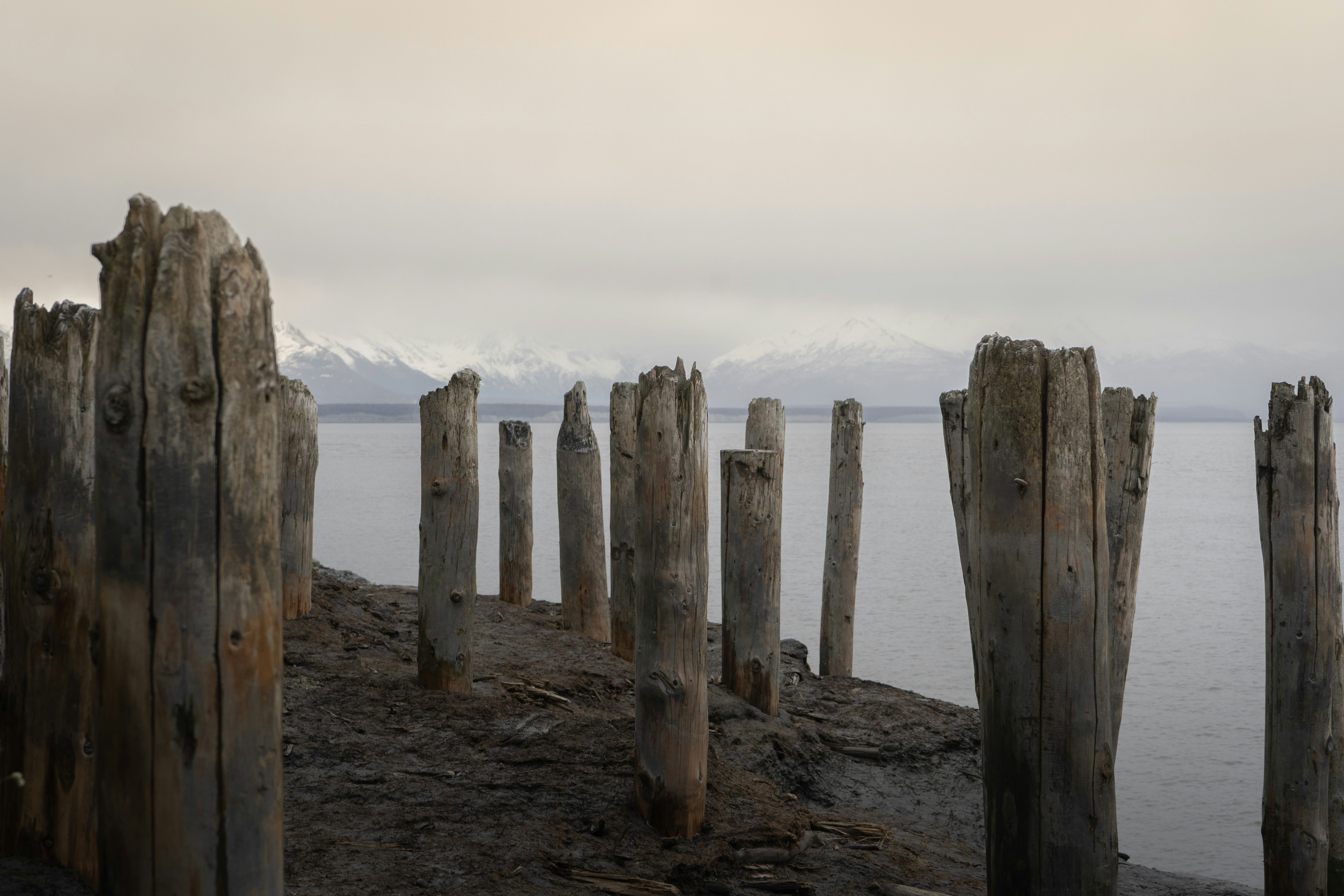 Photo by jaron_mobley