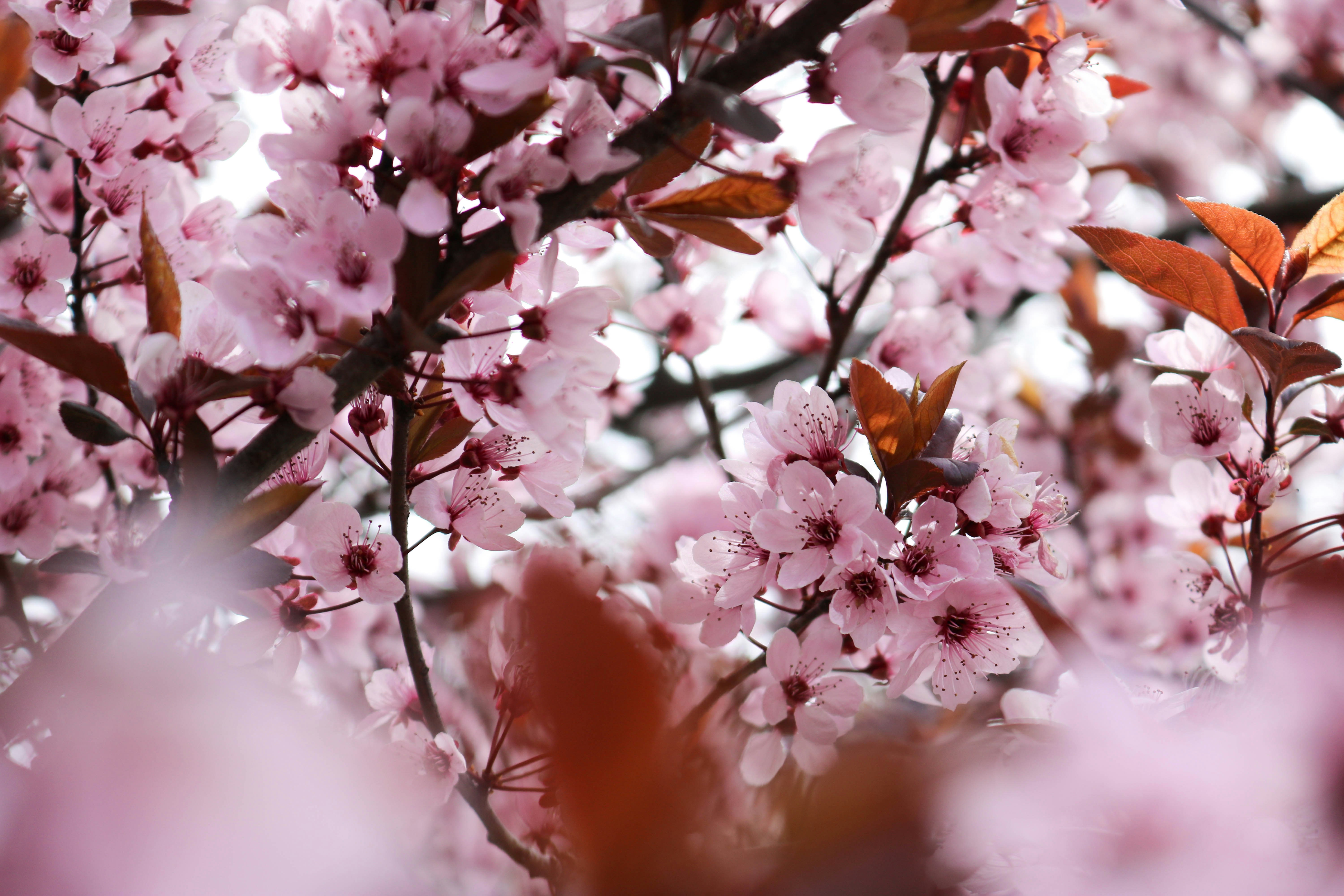 Photo by designstudio23