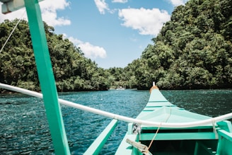 A sleek boat cruising on calm turquoise river waters under a clear sky.