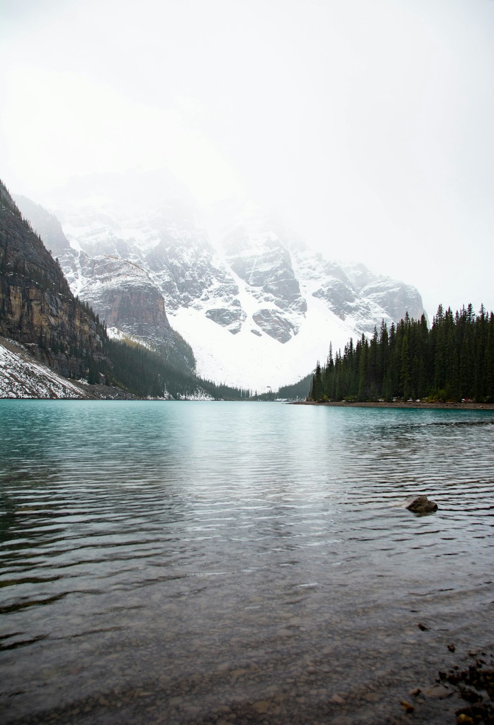 green trees and body of water near snow covered mountain