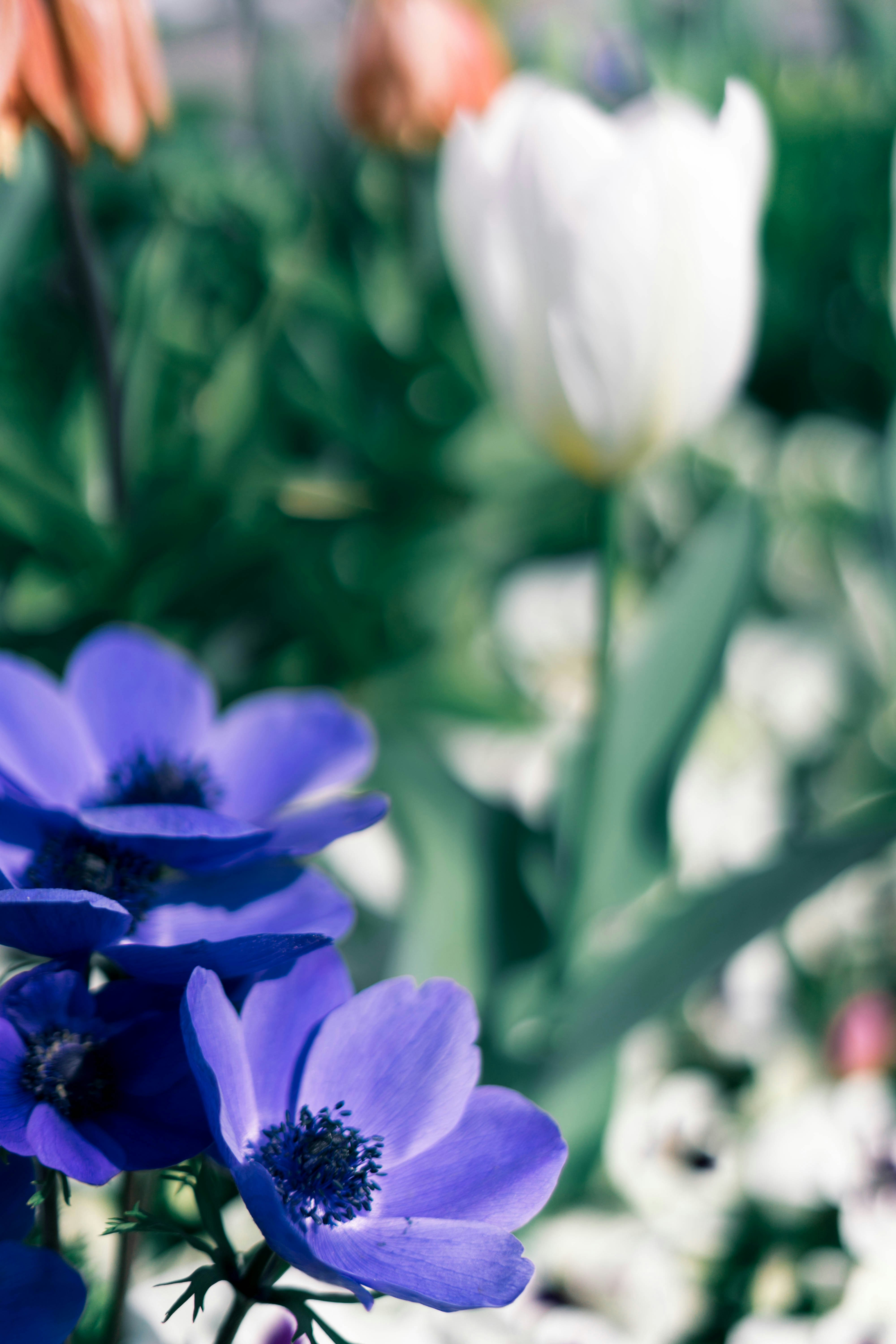 Photo by virussinside