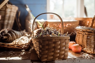 basket of spices