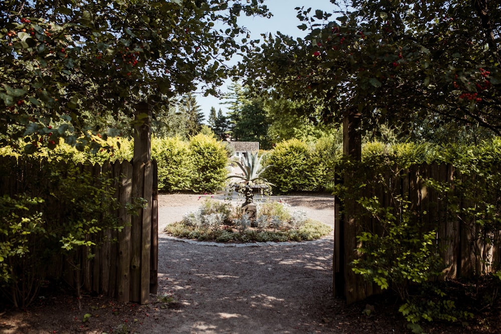 fountain in a park during daytime