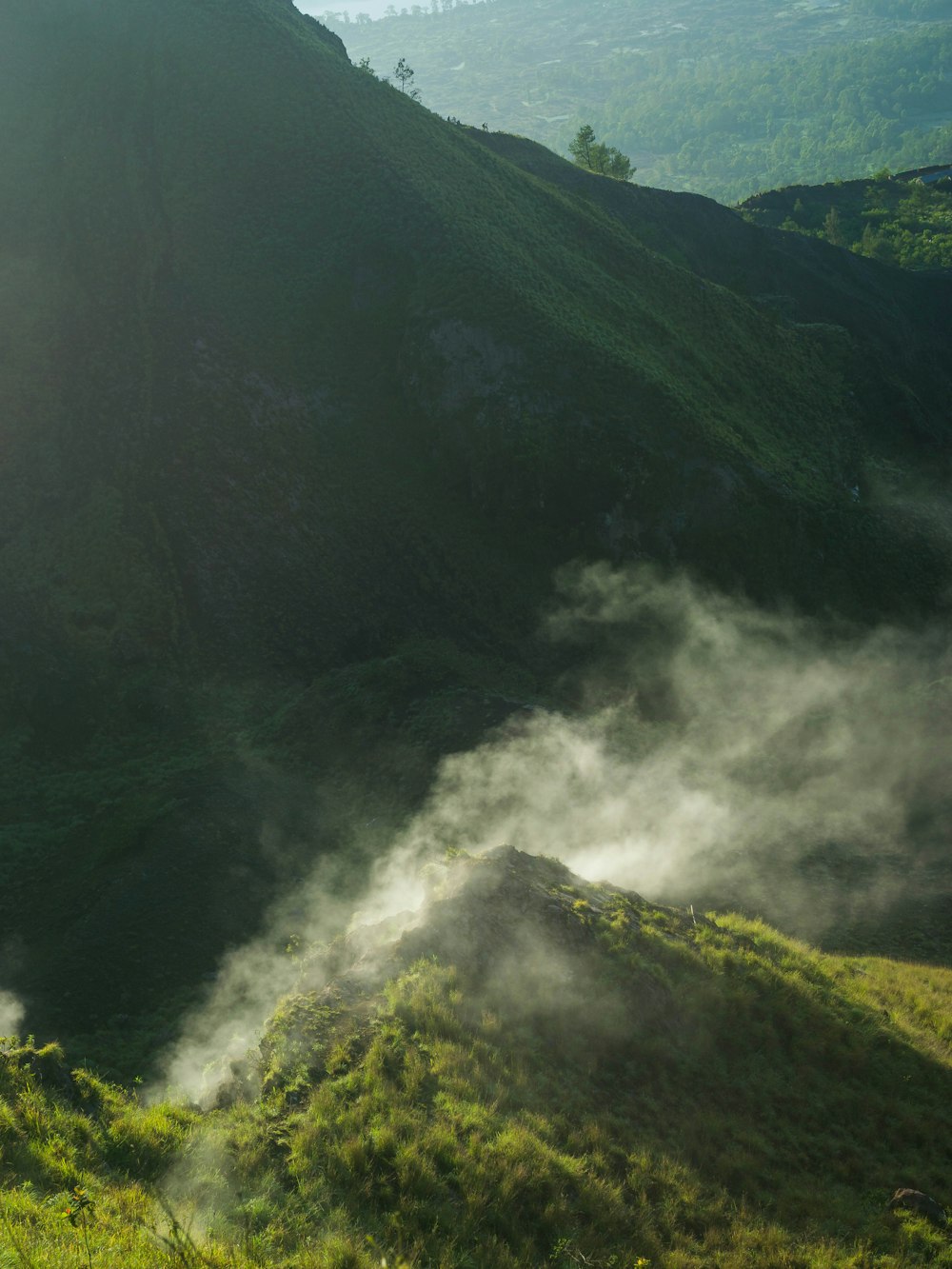 a horse standing on top of a lush green hillside