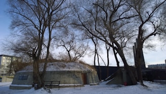 A snow-covered landscape featuring an old, concrete bunker surrounded by leafless trees. The structure is partially covered with snow, and there are a few plaques attached to its walls. The sky is overcast, adding a somber atmosphere to the scene.
