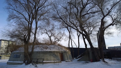 A snow-covered landscape featuring an old, concrete bunker surrounded by leafless trees. The structure is partially covered with snow, and there are a few plaques attached to its walls. The sky is overcast, adding a somber atmosphere to the scene.