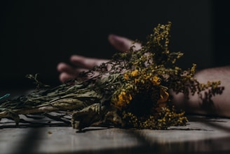 yellow flowers
