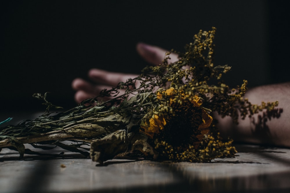 dried flowers