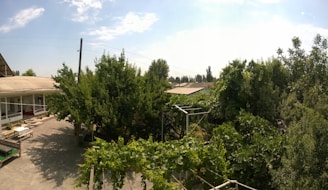 An outdoor scene with a family enjoying their pest-free yard.