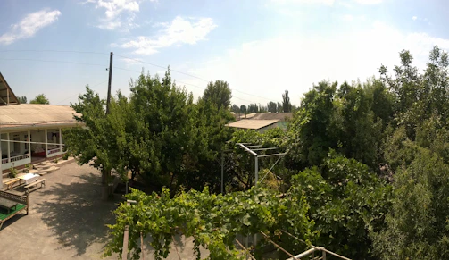 A peaceful backyard space where residents relax and connect.