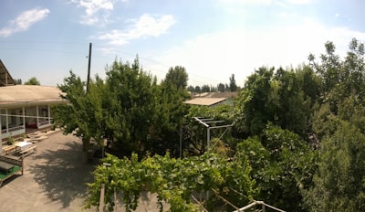 A peaceful backyard scene featuring a Zen Saunas outdoor sauna.