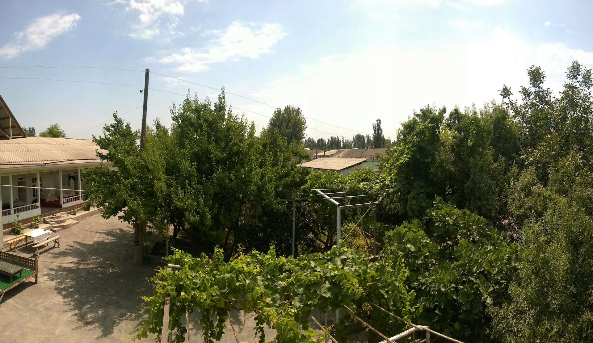 woman wearing yellow long-sleeved dress under white clouds and blue sky during daytime