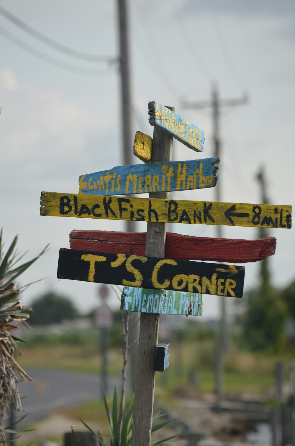 multicolored wooden signage post