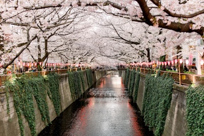 Meguro River