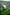 landscape photo of trees on mountain