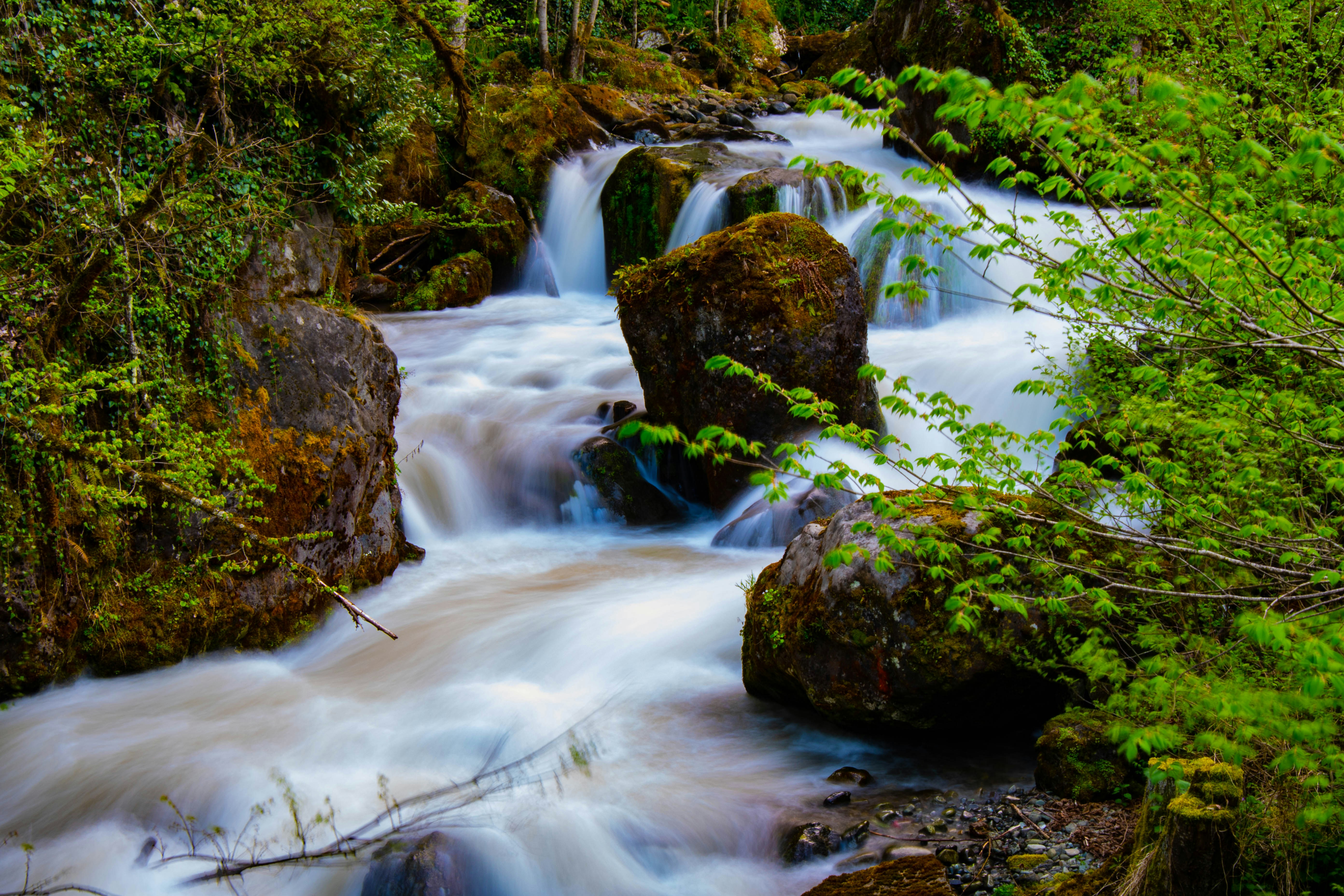 Photo by davidshvangiradze