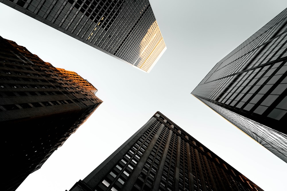 gray and black concrete building low-angle photography