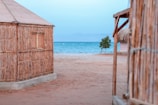 A tranquil coastal scene featuring rustic huts made of natural materials, positioned on a sandy beach. The ocean is visible in the background with calm blue waters under a clear sky. A solitary tree adds a touch of greenery near the water's edge.