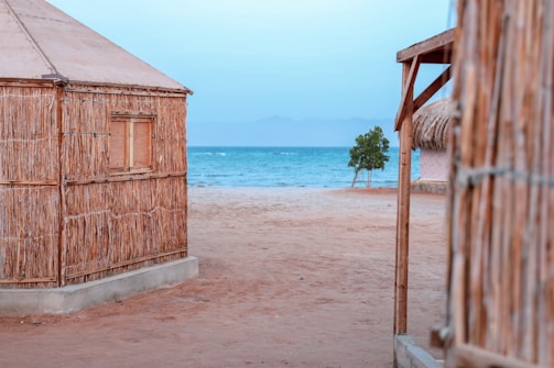 A tranquil coastal scene featuring rustic huts made of natural materials, positioned on a sandy beach. The ocean is visible in the background with calm blue waters under a clear sky. A solitary tree adds a touch of greenery near the water's edge.