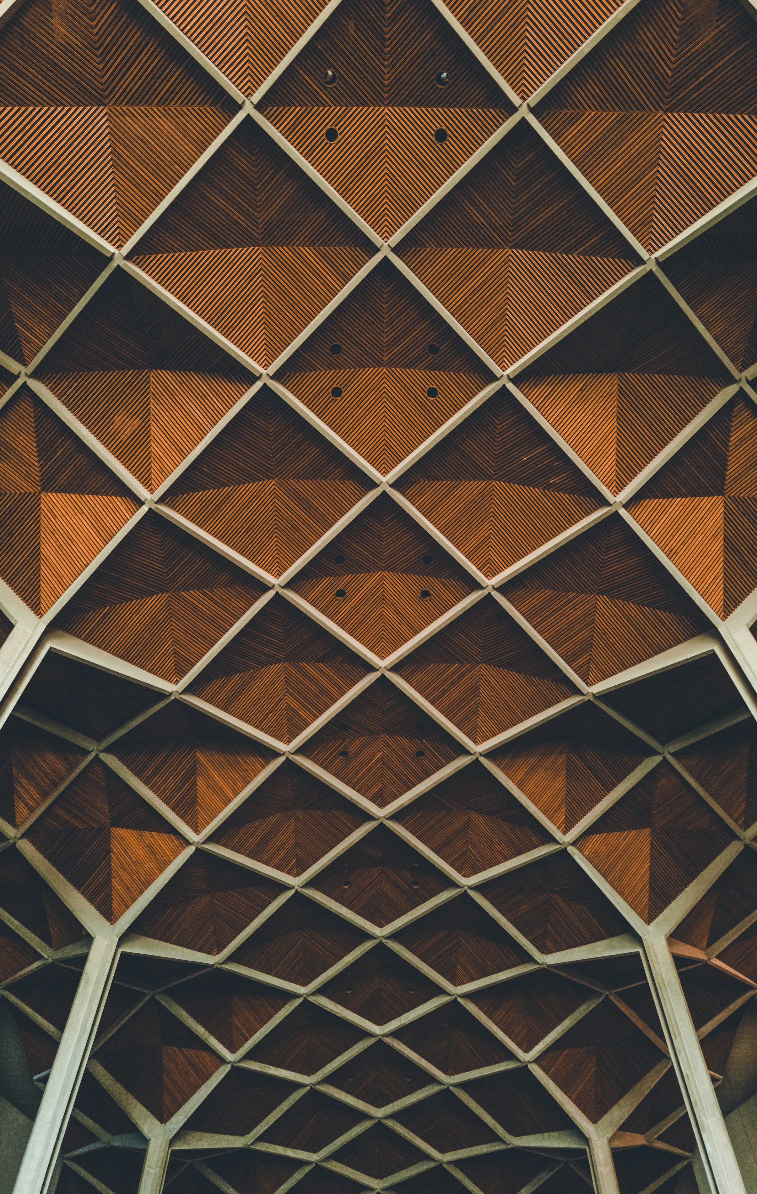 The Secret Life of Your Constitutional Rights