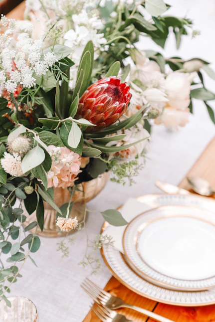 shallow focus photo of red and white flowers