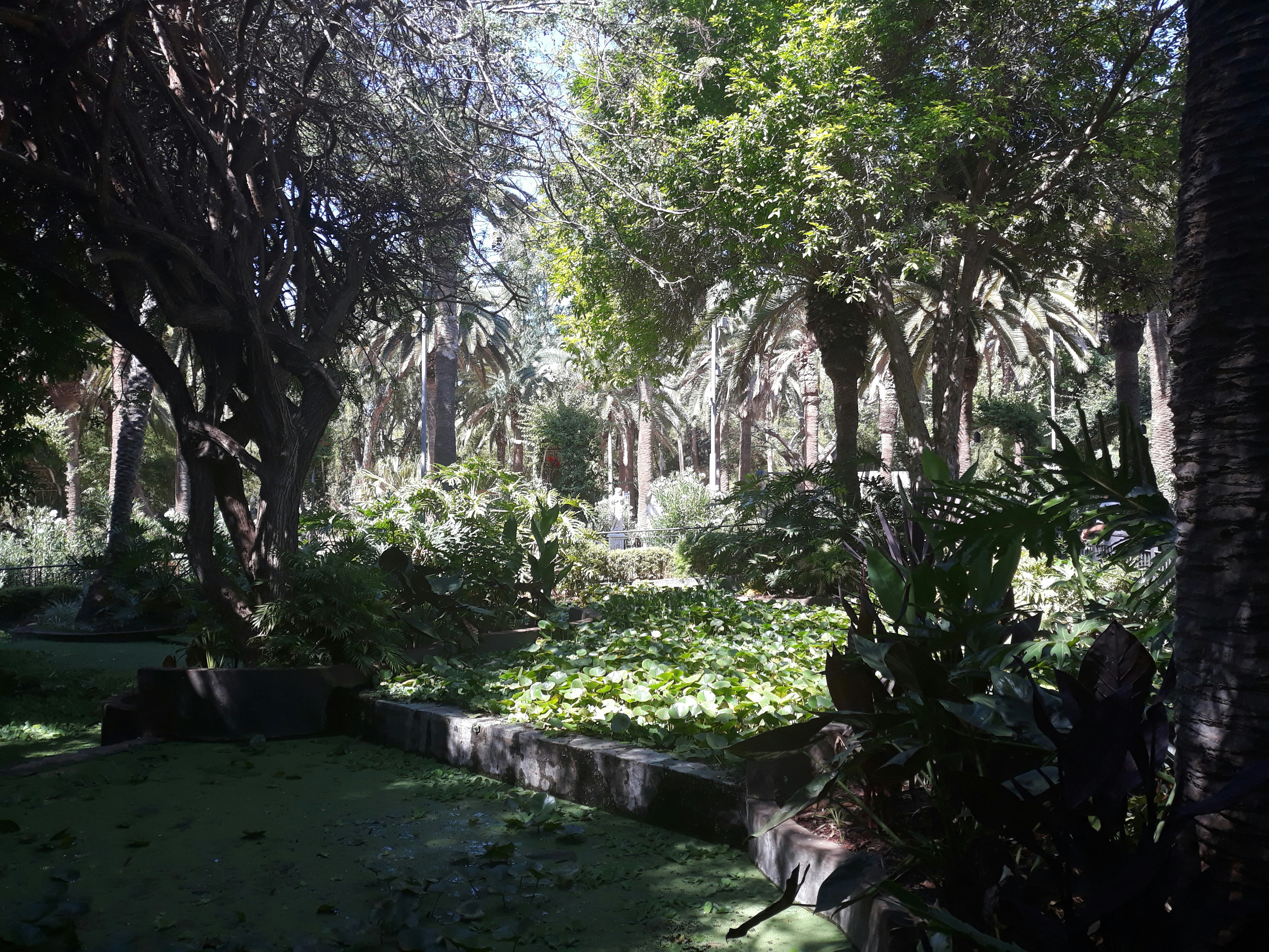 Natural pest control gardening: A beautiful garden thriving in harmony with nature