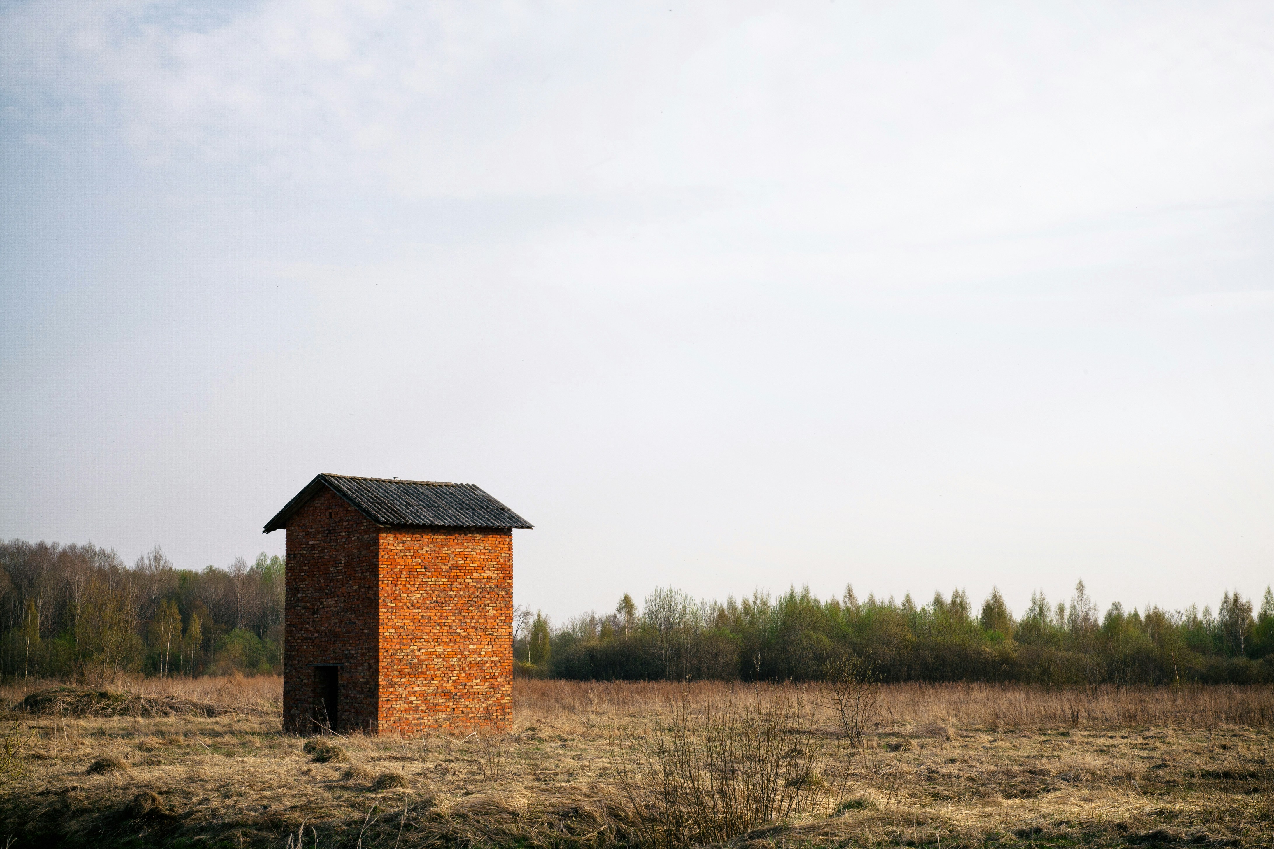 red brick building surrounded with trees