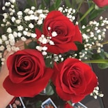 A vibrant bouquet of red roses with delicate baby's breath accents.