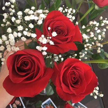 Delicate anniversary floral arrangement featuring red roses and baby's breath.