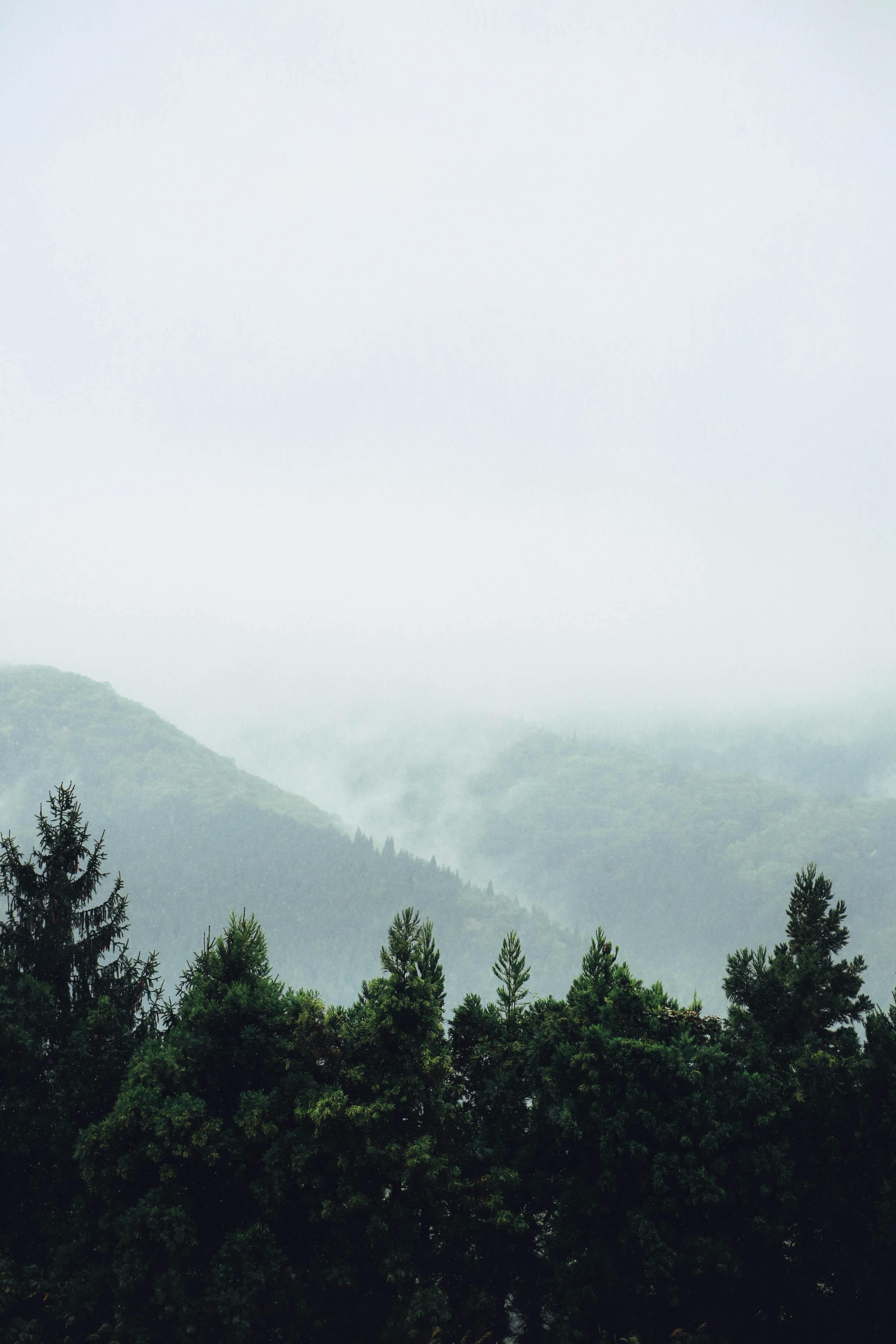 Photo by frstvisuals