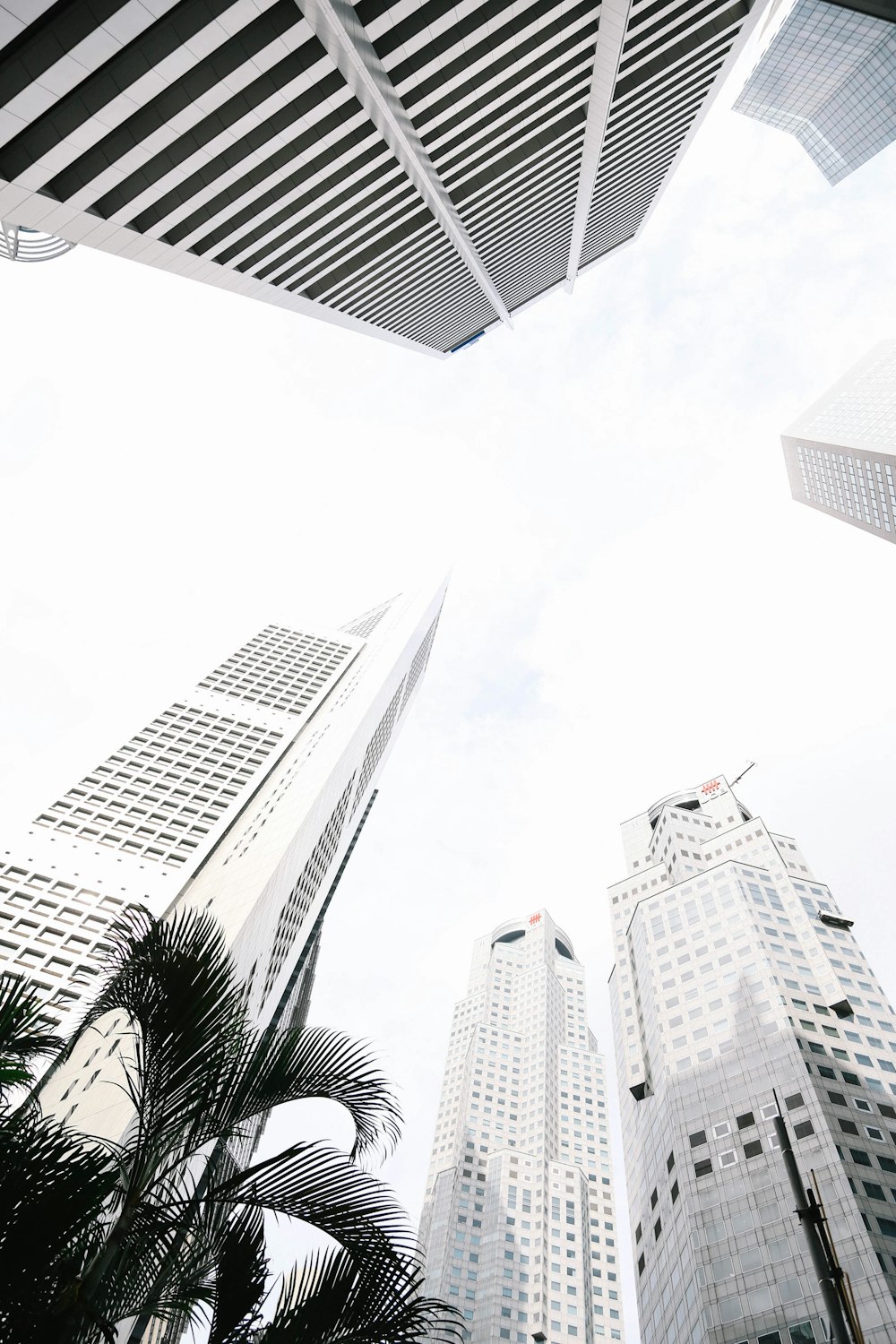 white concrete building low-angle photography