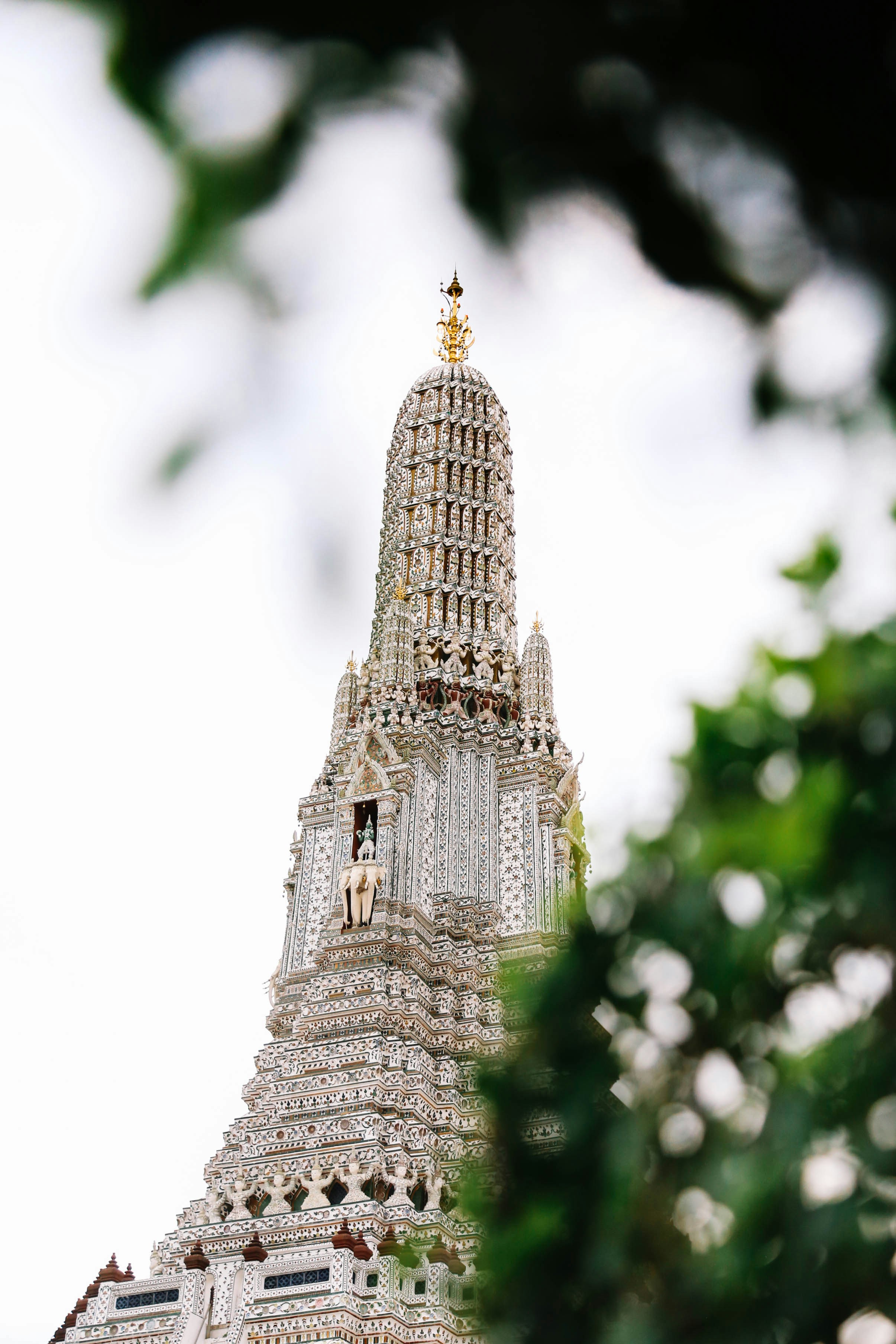 green leafed tree near brown building