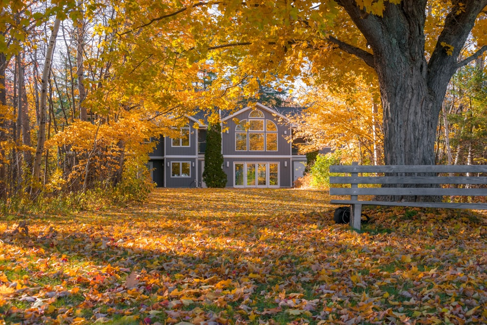 gray wooden house surrounded with tall and orange trees