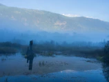 A serene aerial shot of a vast Latvian peatland at dawn, mist rising over the wetlands.